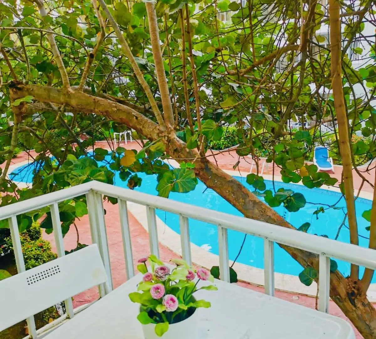 Apartment Sol Caribe Luxury Suites Beach Club And Spa Punta Cana Dominican Republic